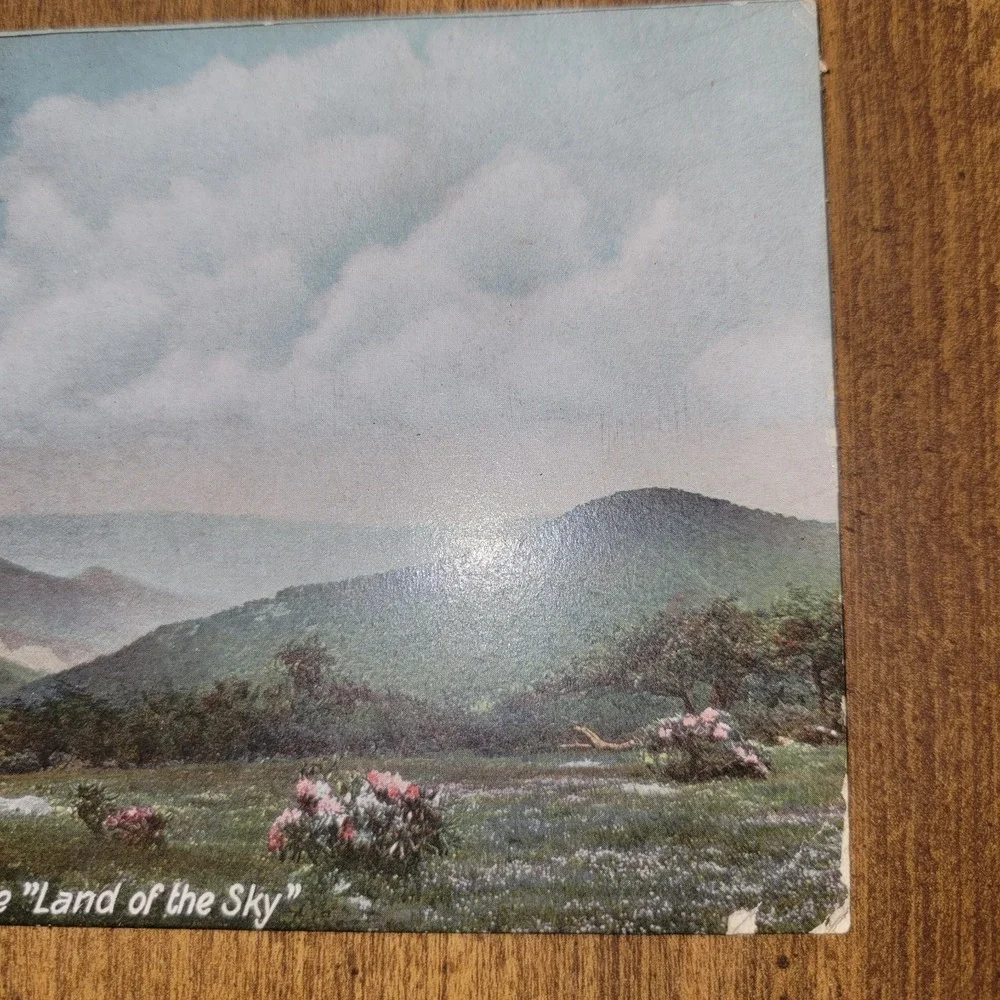 1908 Ivy Gap Craggy Mountain‎ Asheville NC Postcard Land of the Sky 1¢...